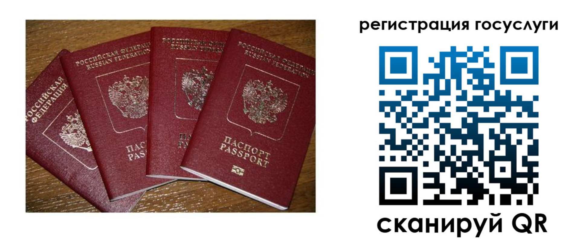 временная регистрация гарантия в Ясном